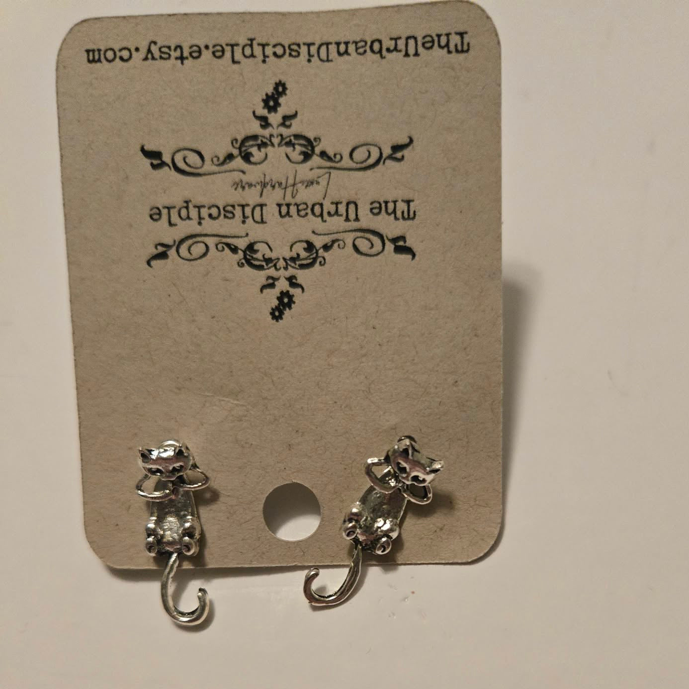 CatsorFrogs