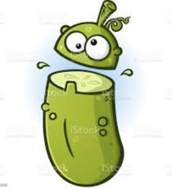 Mango Chamoy Pickles