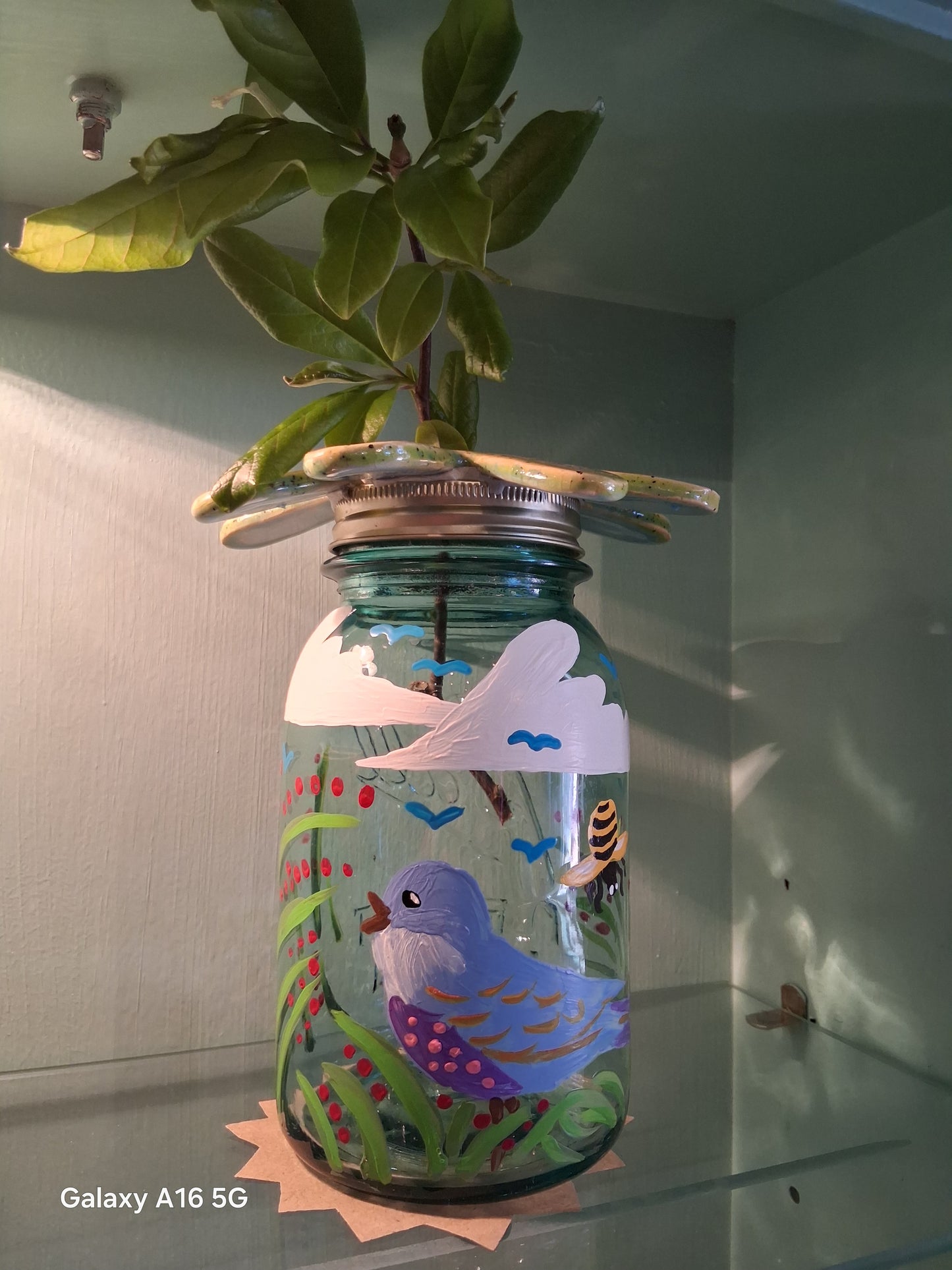 The Dove Studio